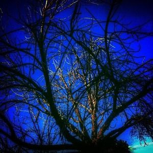 Meet your Posher, Dylan